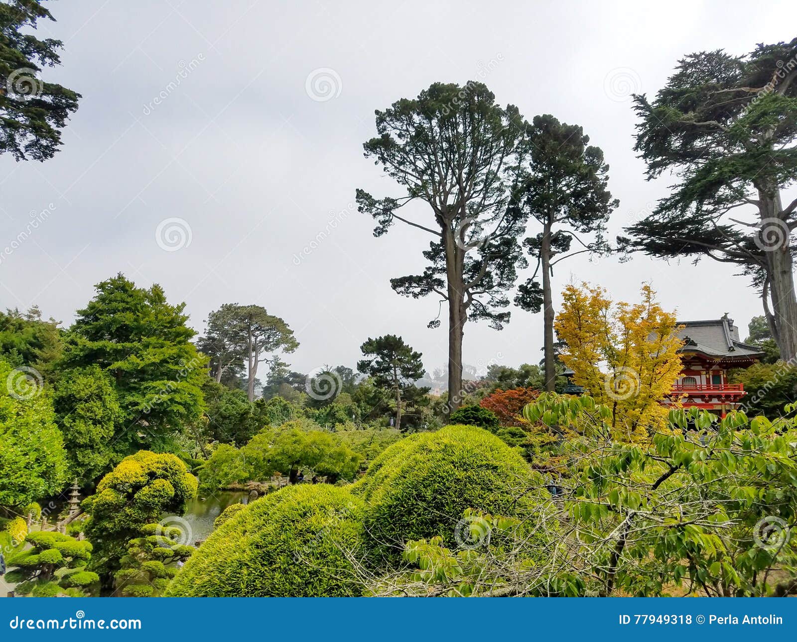 San Francisco Japanese Garden Fotografia Stock - Immagine di cielo ...