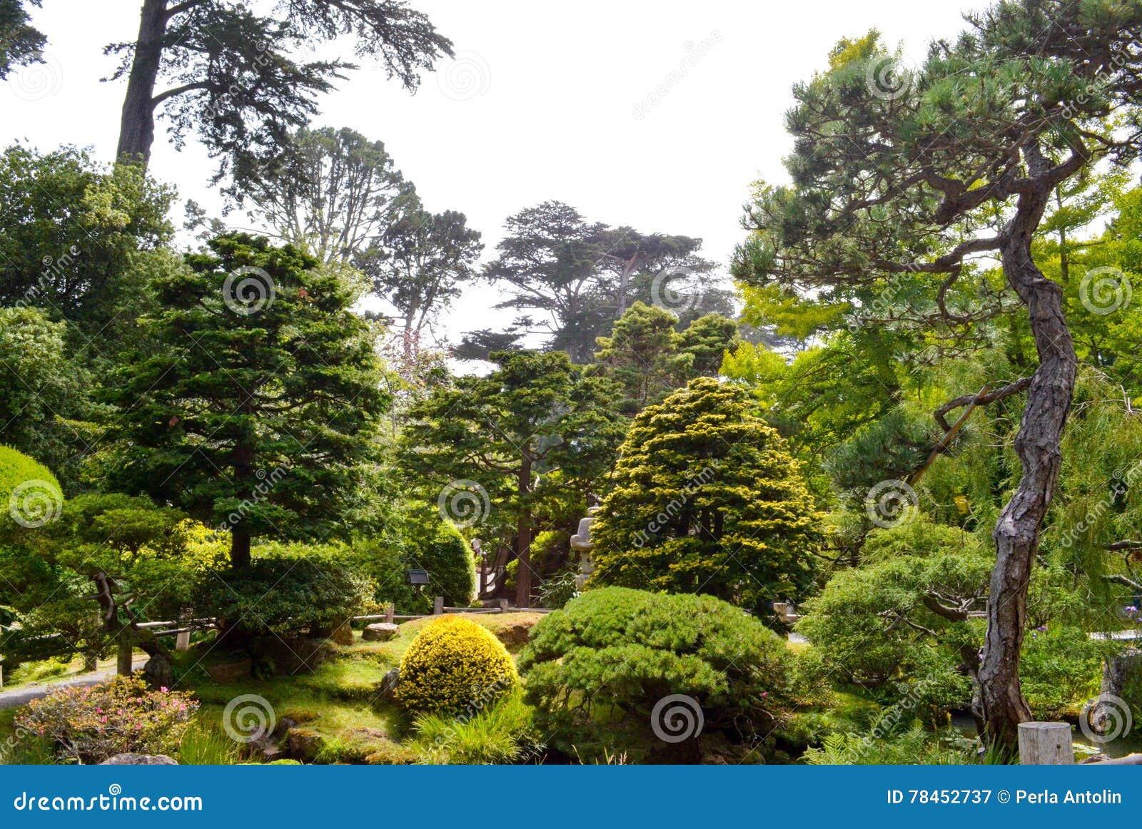 San Francisco Japanese Garden Imagen de archivo - Imagen de francisco ...