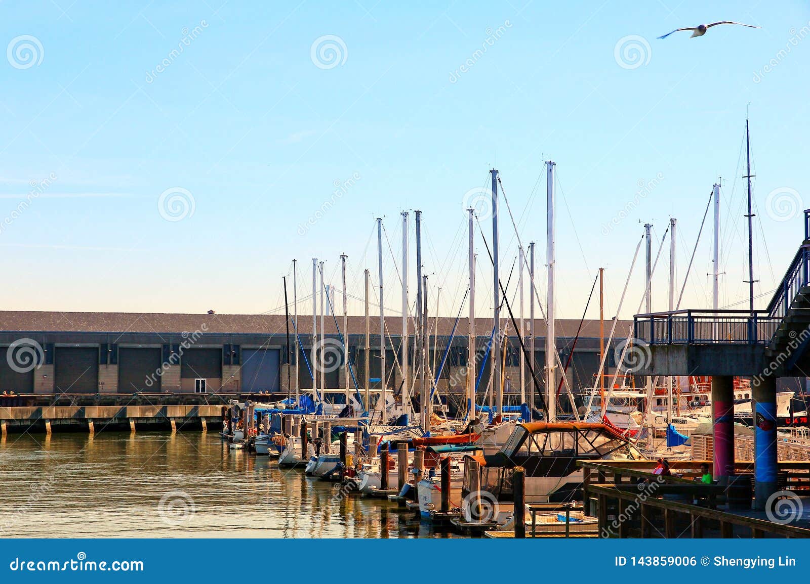 san francisco marina yacht harbor