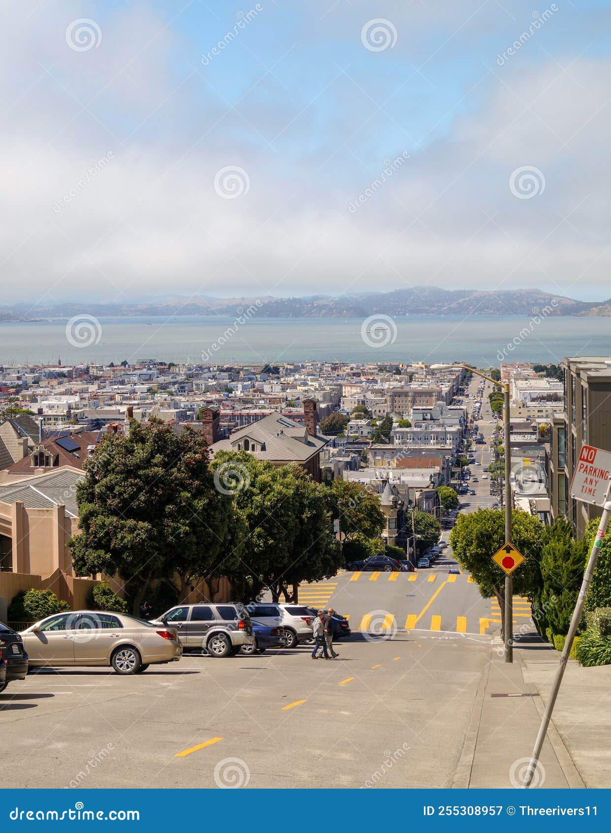 san francisco and san francisco bay