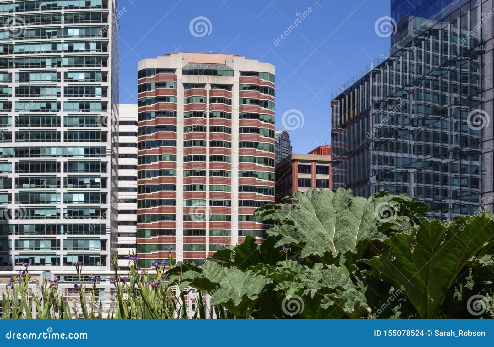 salesforce tower rooftop garden salesforce tower rooftop garden