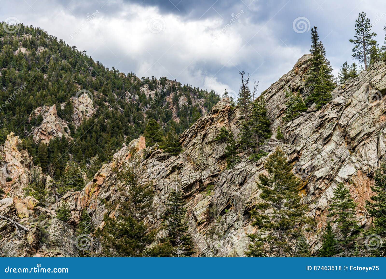 san isabel national forest rocky mountain views in colorado