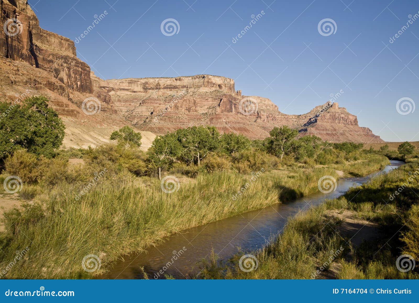San Rafael River Canyon Viewed From The Wedge Overlook RoyaltyFree