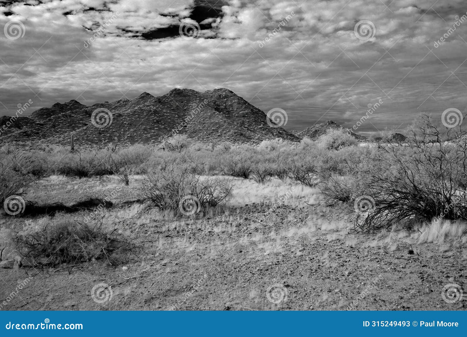 san tan mountains sonora desert arizona in monochrome