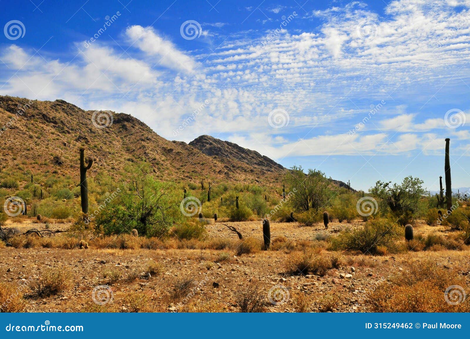 san tan mountains sonora desert arizona