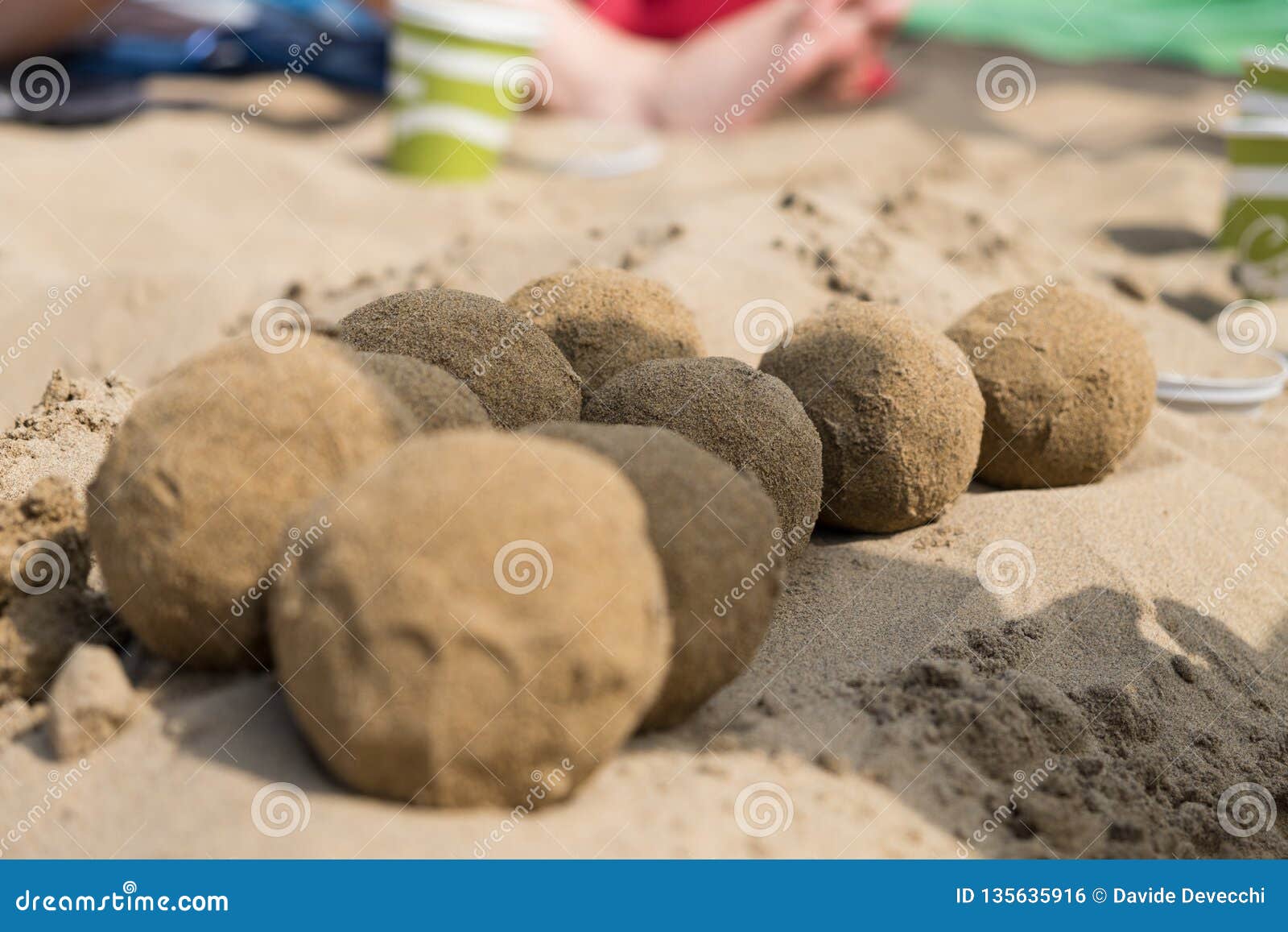 Sand balls on the beach stock photo. Image of summer 135635916