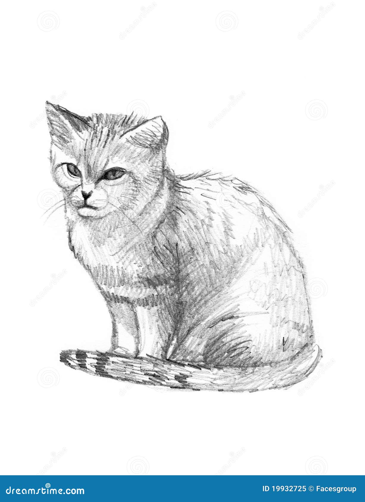 How to Draw a Cat Step By Step Tutorial  Nil Tech  shopniltech