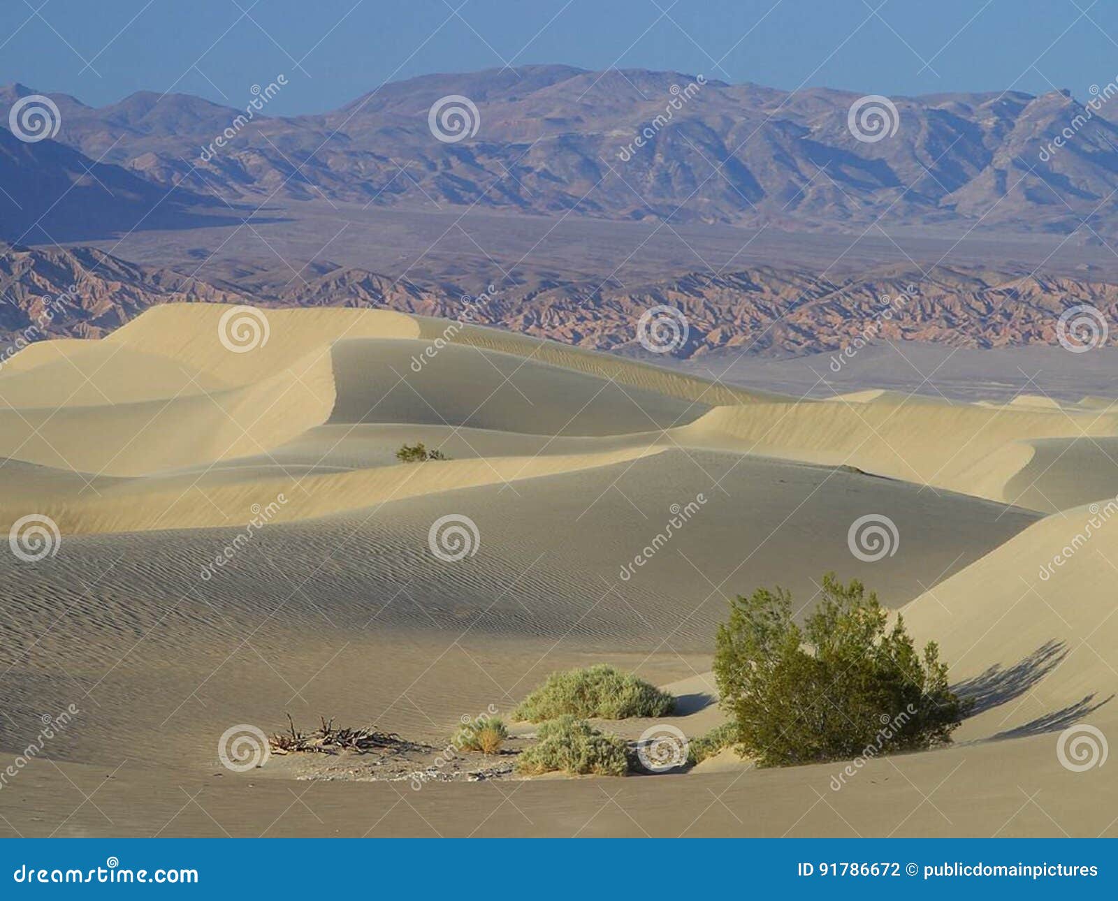Sand And Desert Picture Image 91786672