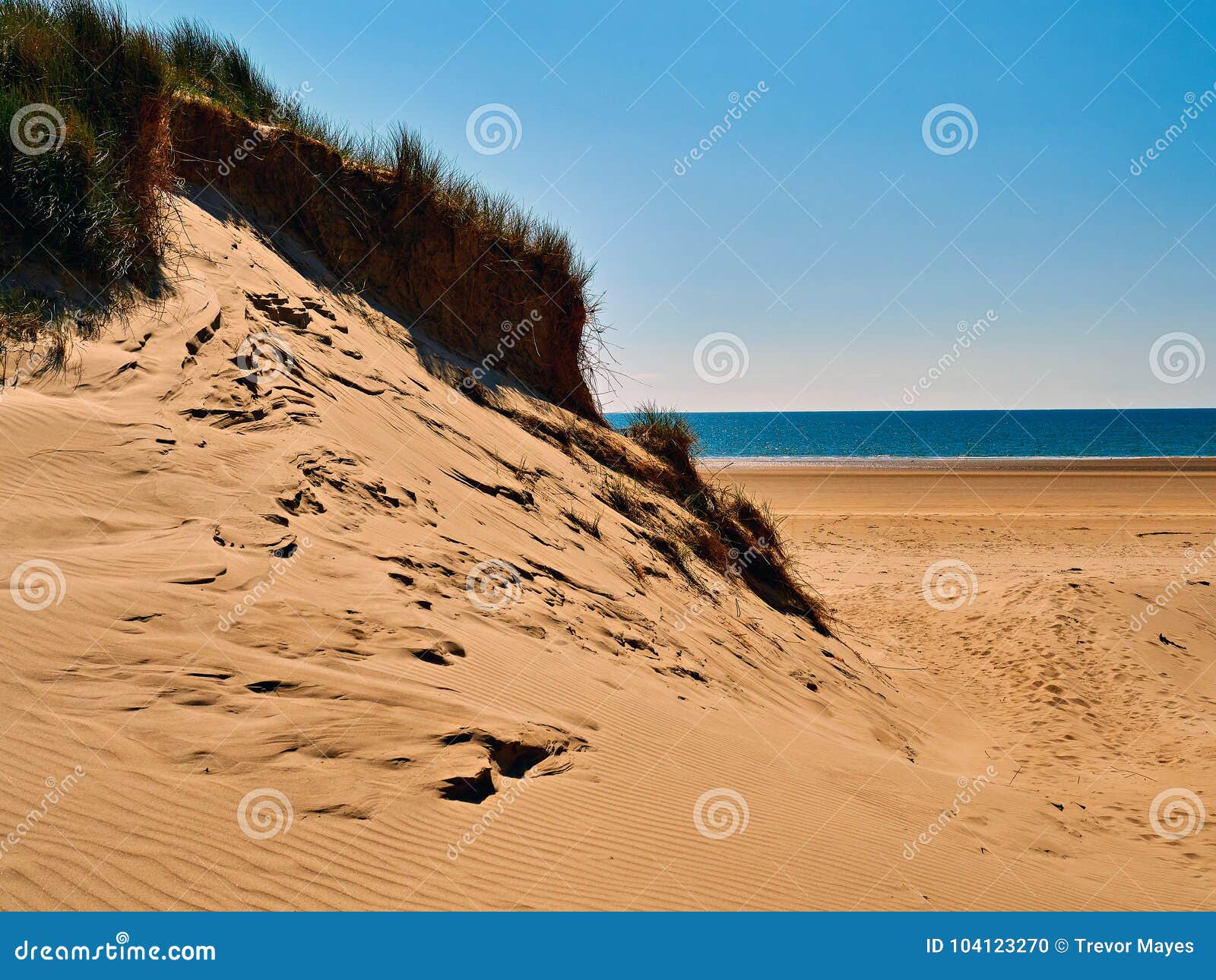 sand dune and beach traeth penrhos anglesey