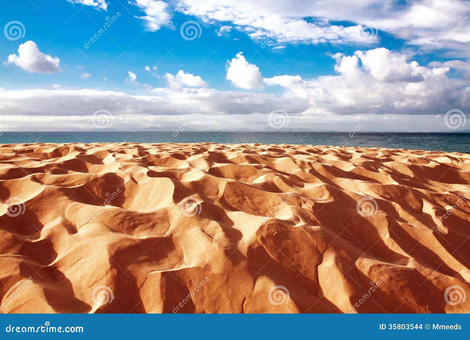 sand dune of bolonia beach, province cadiz, andalucia, spine