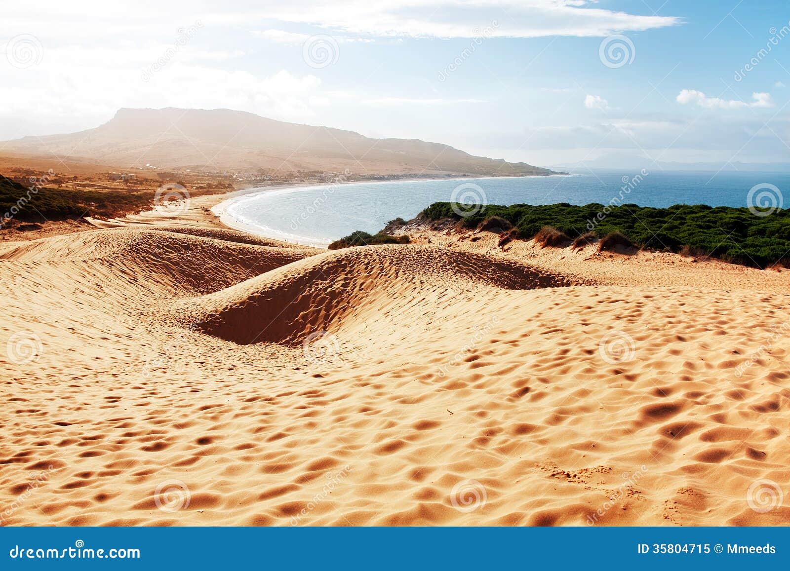 sand dune of bolonia beach, province cadiz, andalucia, spine