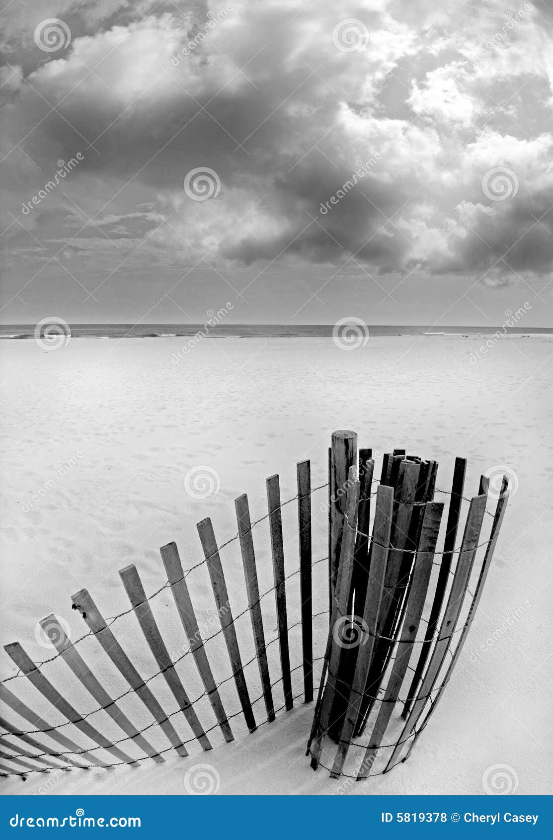 sand dune fence on beach