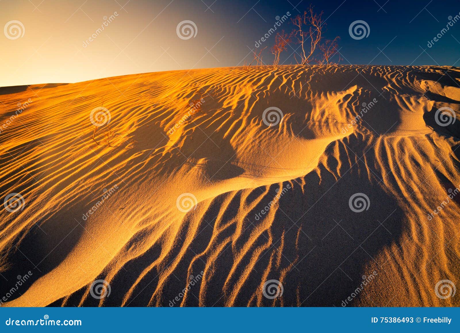 sand dune flux lines