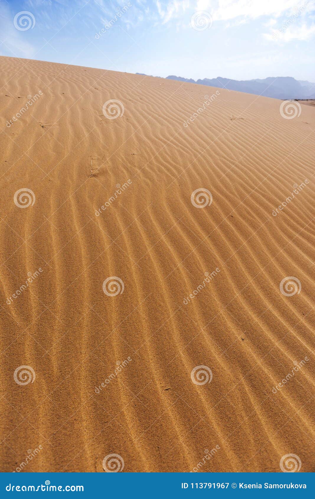 Sand Dune. Wadi Araba Desert. Jordan Stock Image Image of environment