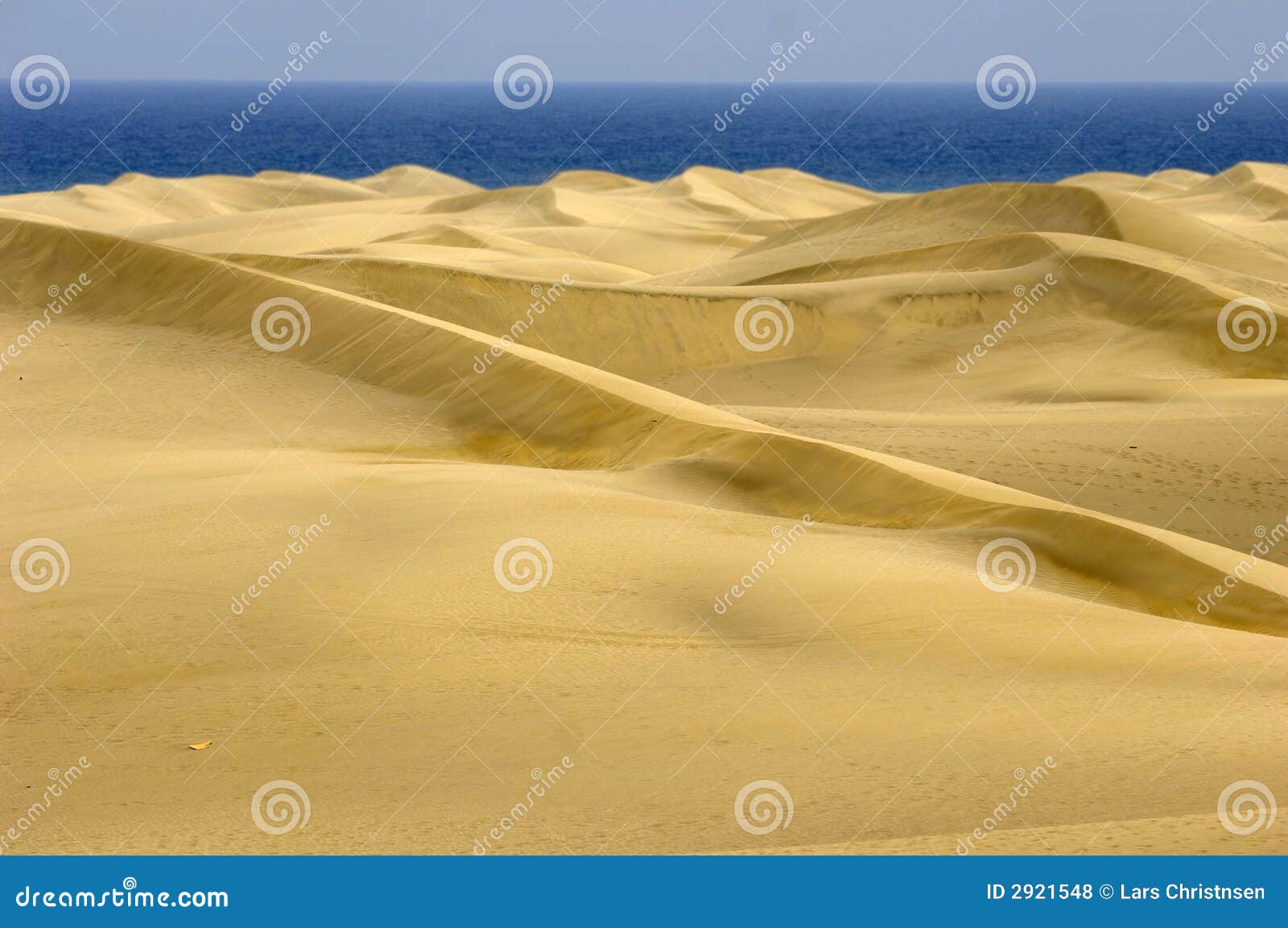 Sand dunes stock photo. Image of desert, empty, landforms 2921548