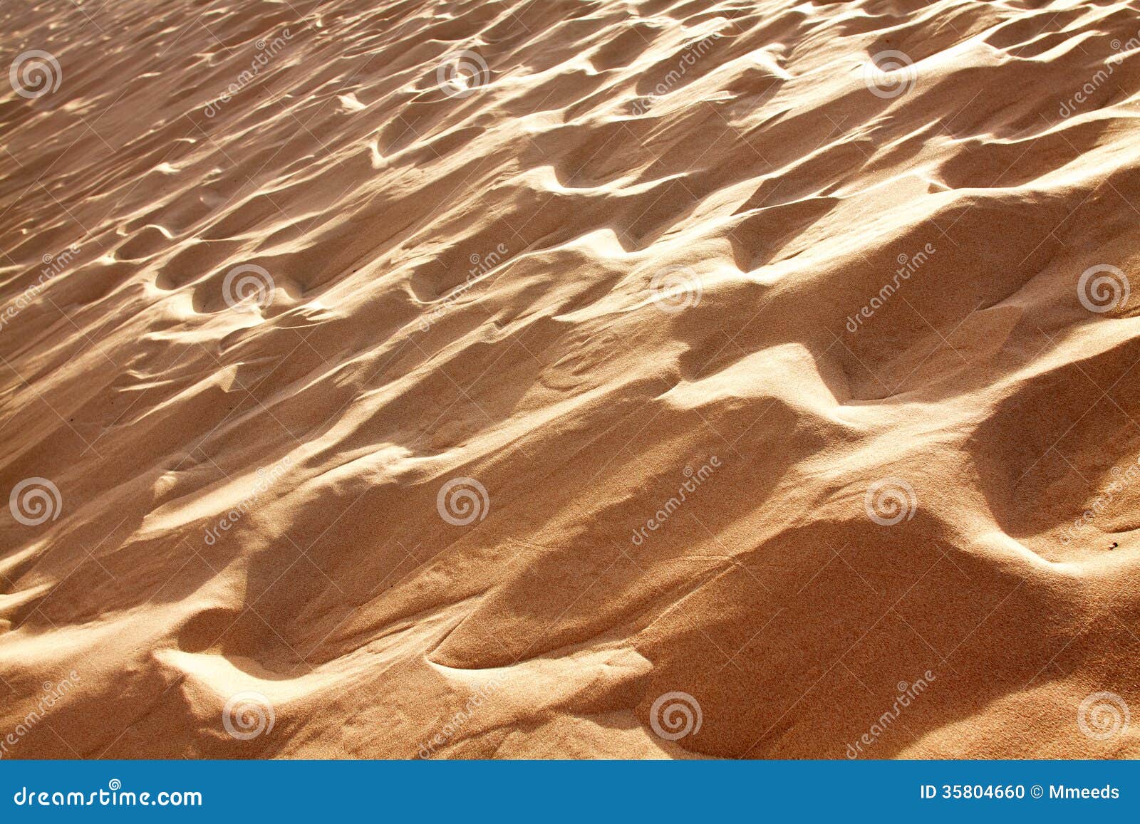 sand dunes bolonia