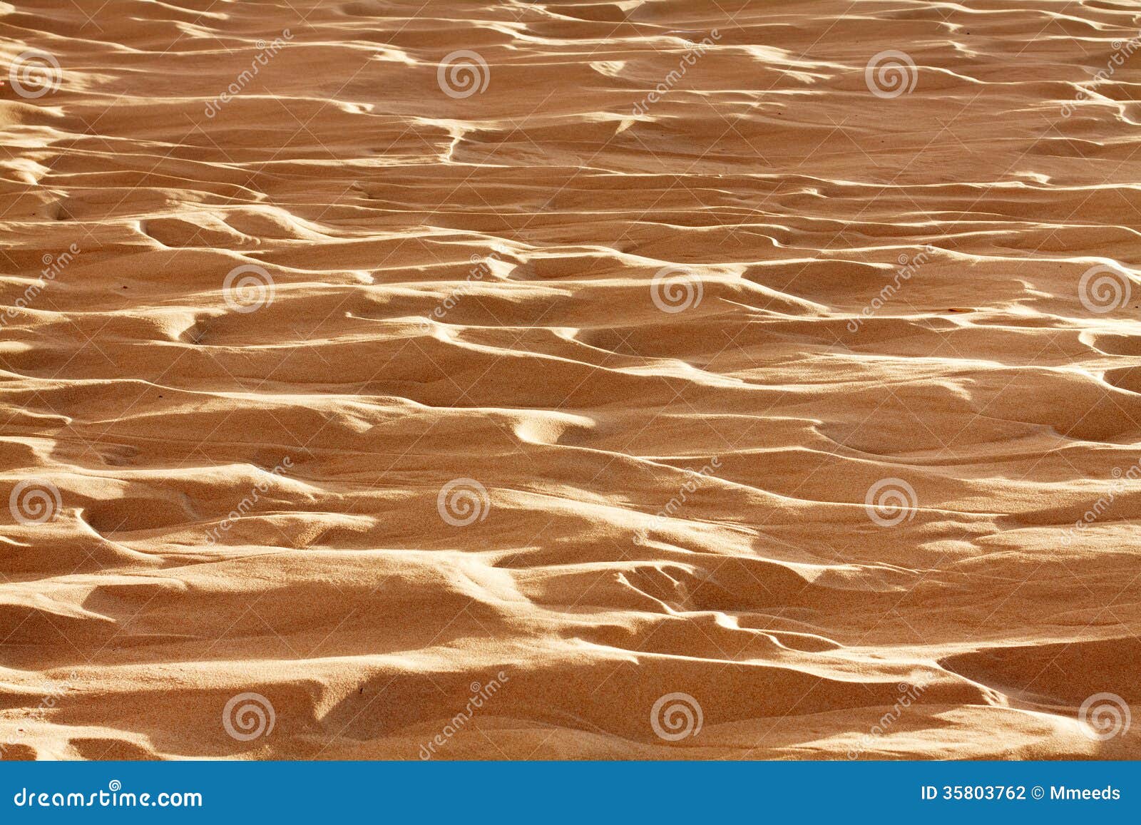 sand dunes bolonia