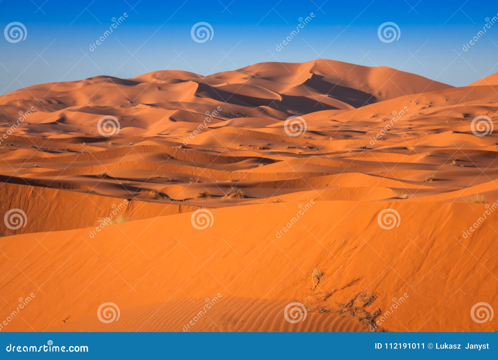 sand dunes of erg chebbi int he sahara desert, morocco