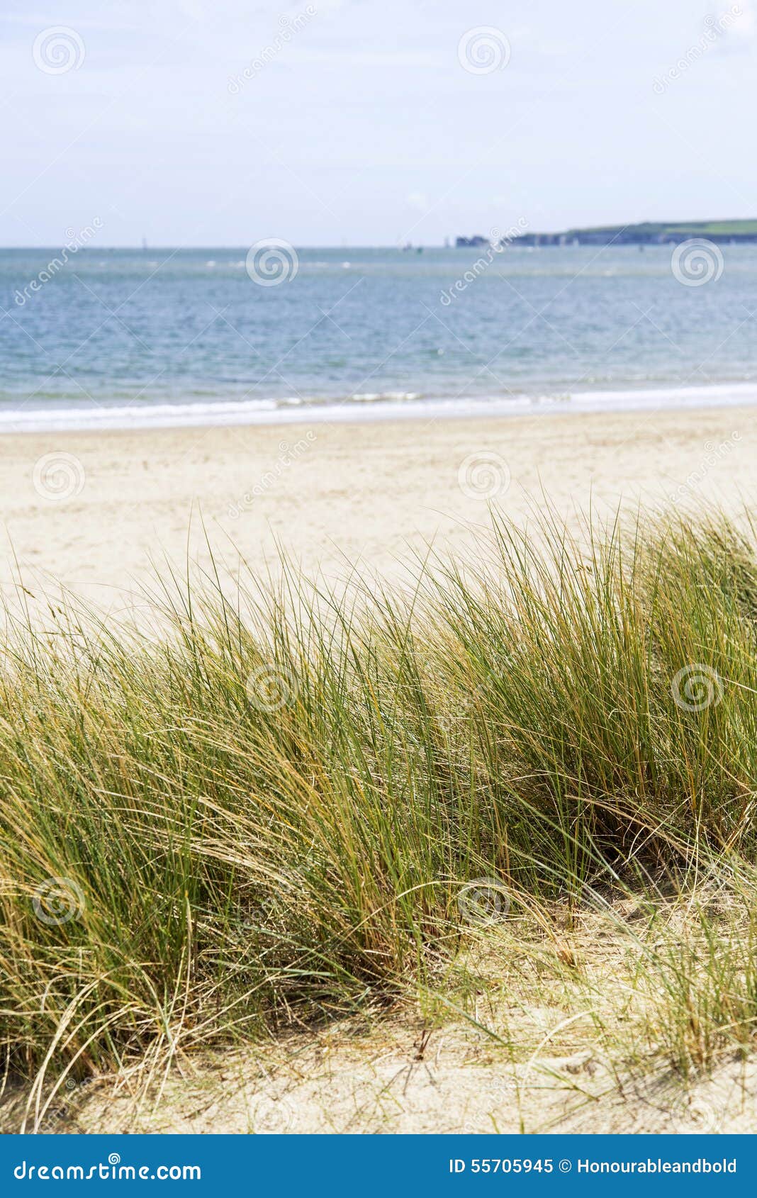 Sand Dunes And Grass Beach Landscape With Deliberate ...