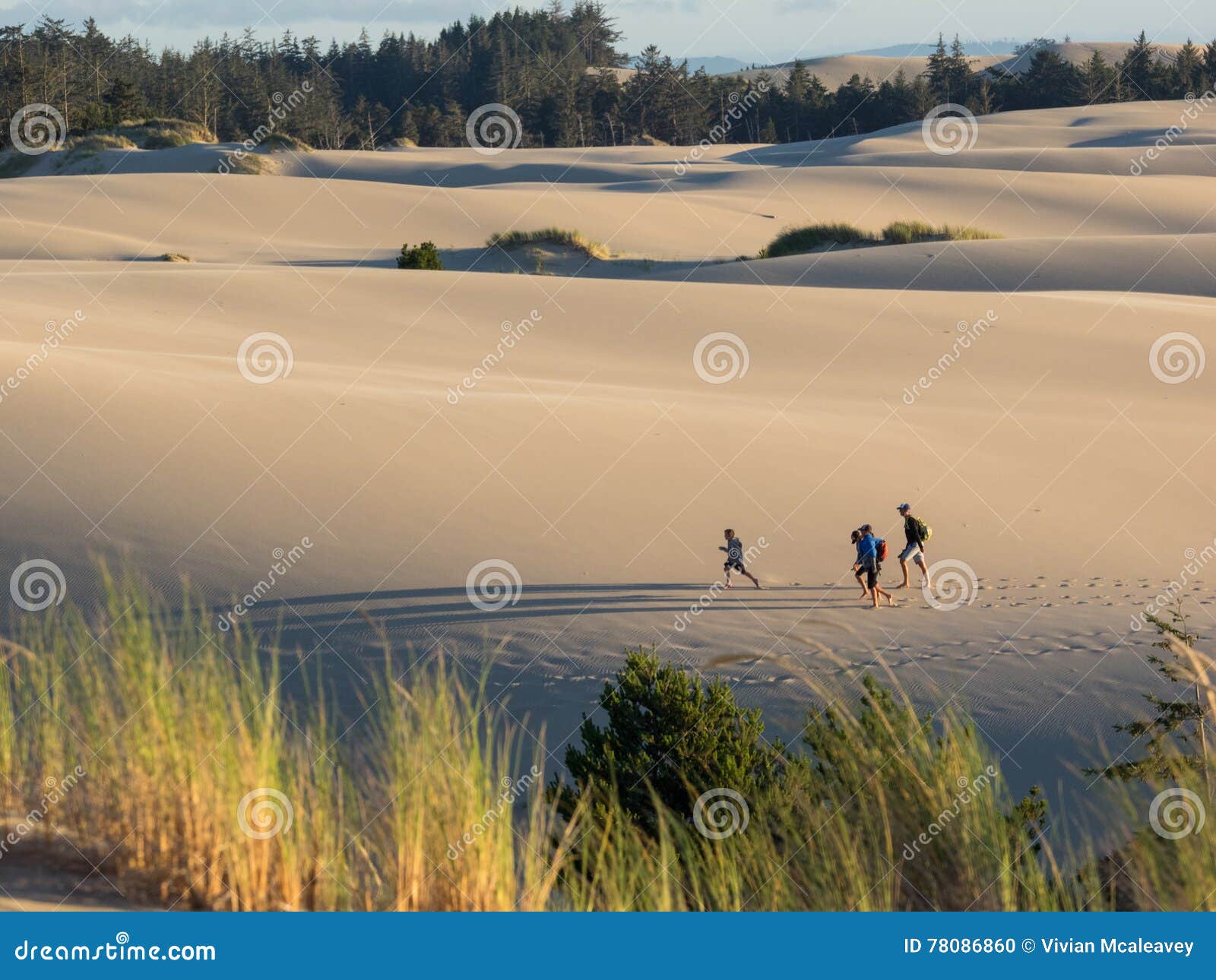 sand dunes