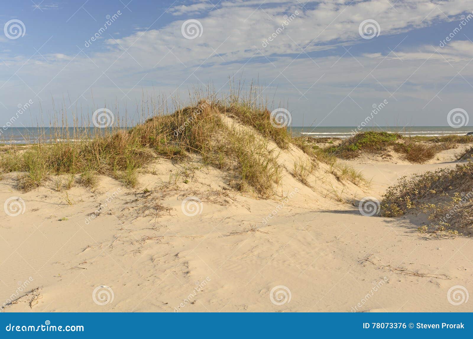 sand dunes on the gulf coast