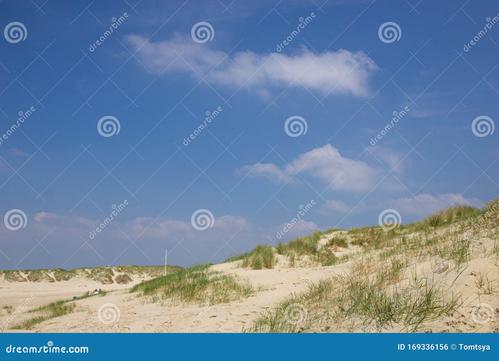 sand dunes of island romo, western denmark