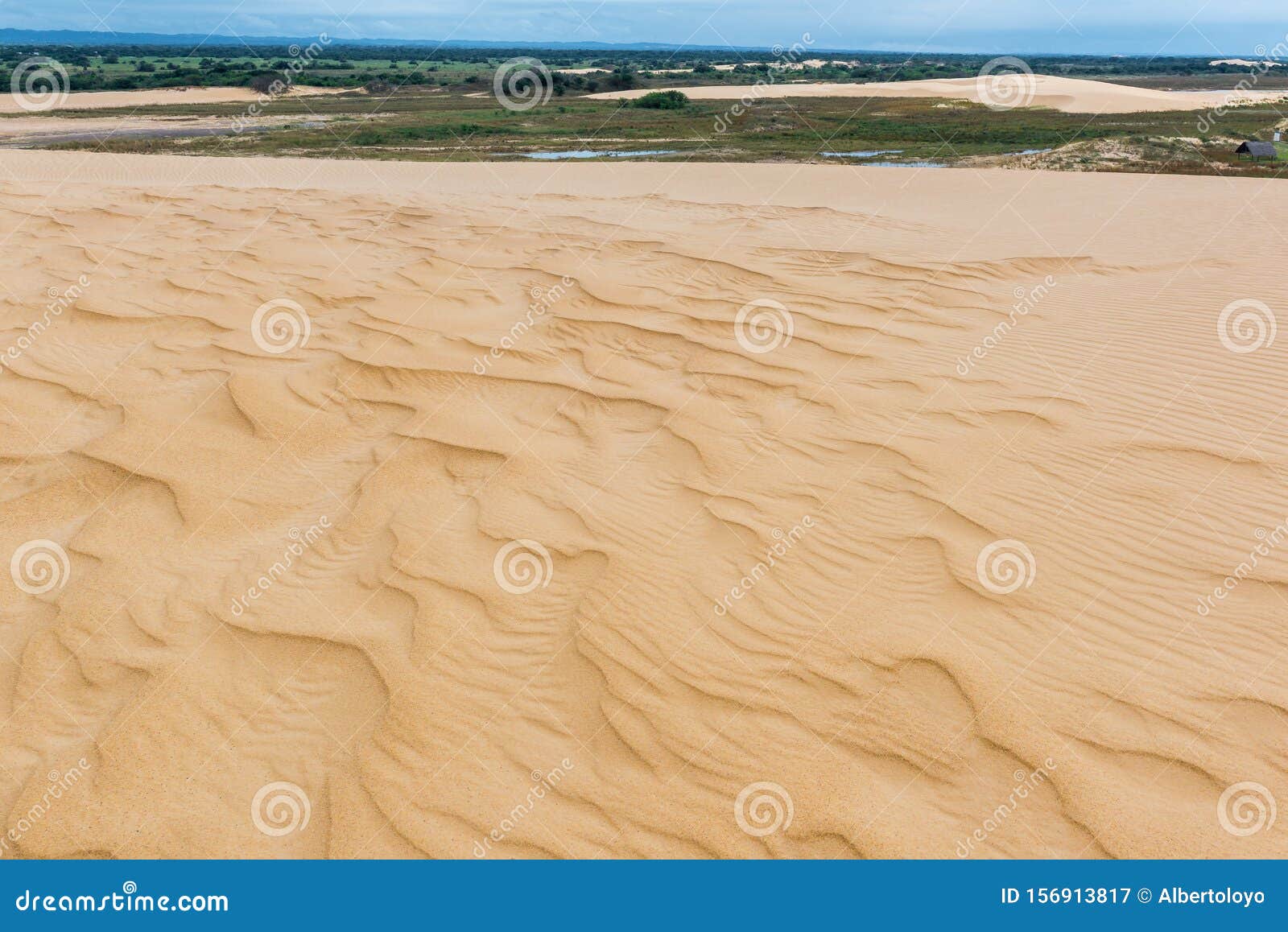 sand dunes of lomas de arena regional park, santa cruz, bolivia