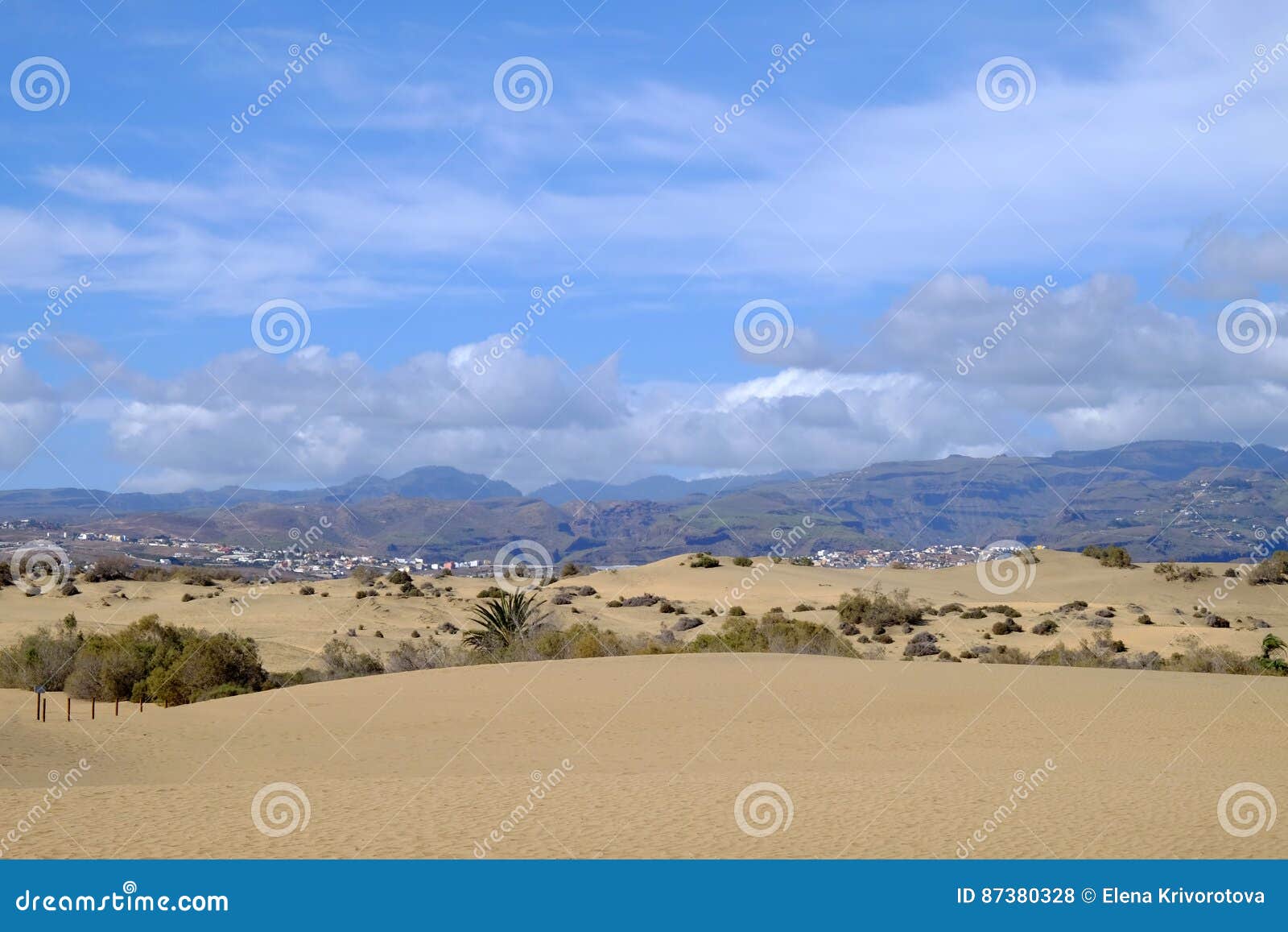 sand dunes in maspalomas and natural reserve la charca on gran canaria, spain.