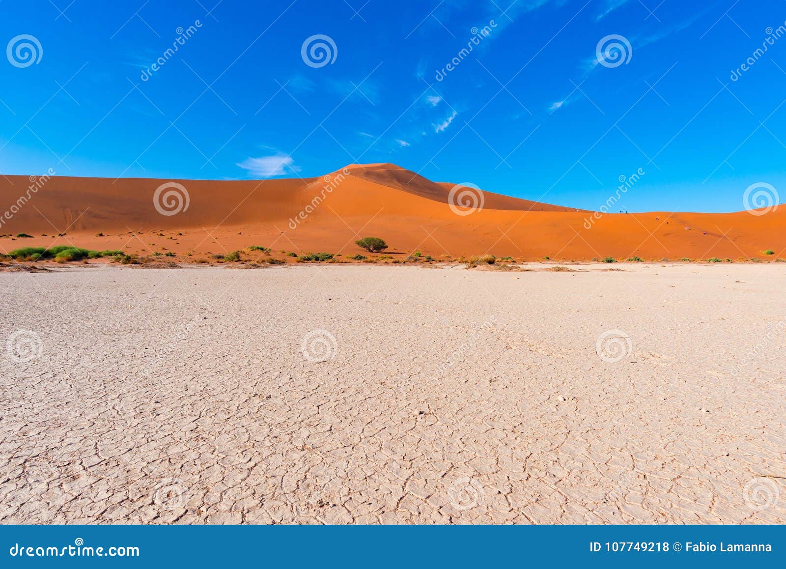 desert in namibia africa desert in namibia africa
