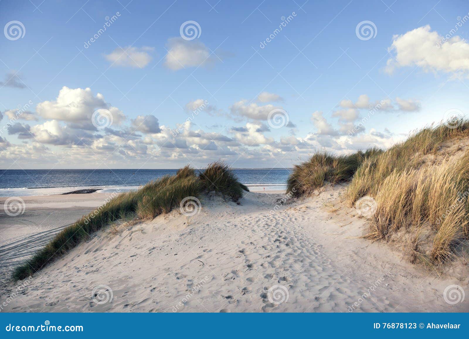 sand and dunes near beach of vlieland in the netherlands with bl