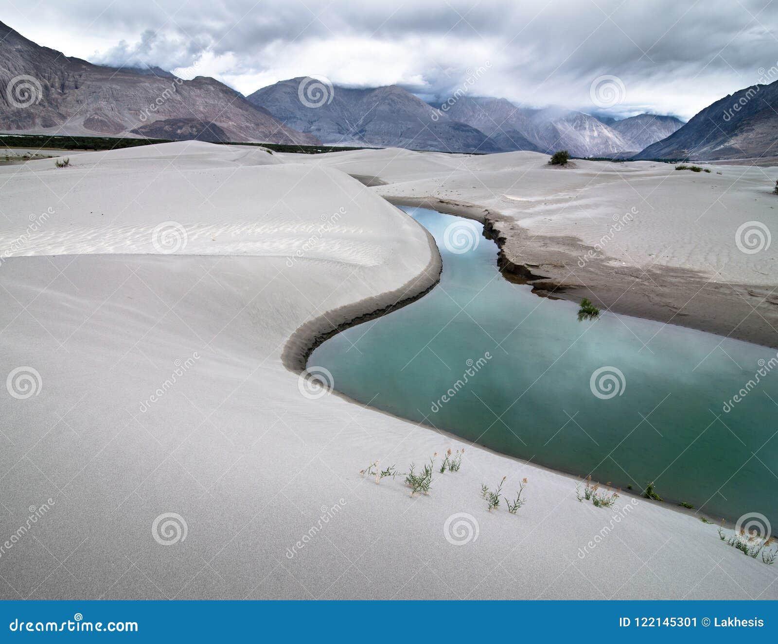 Image of Nubra Valley in Leh Ladakh-IM726678-Picxy