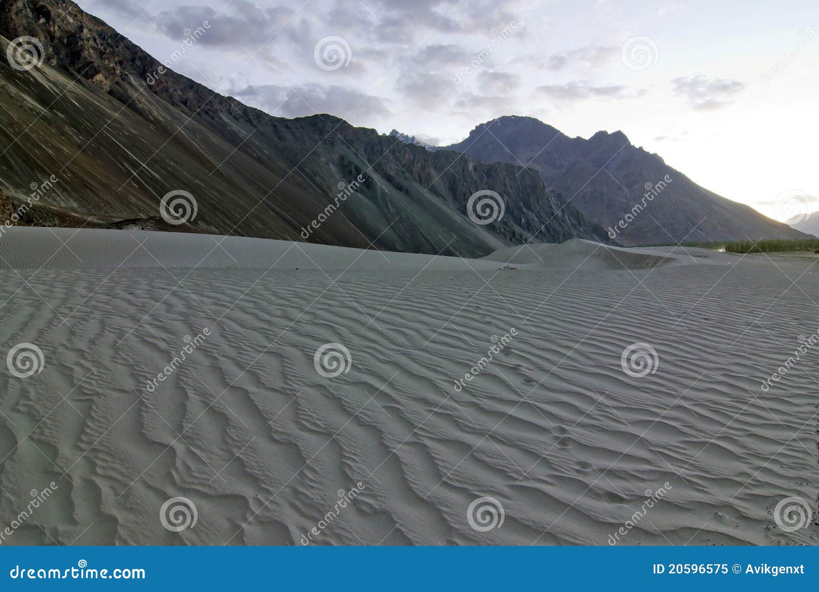 sand dunes in nubra valley, india