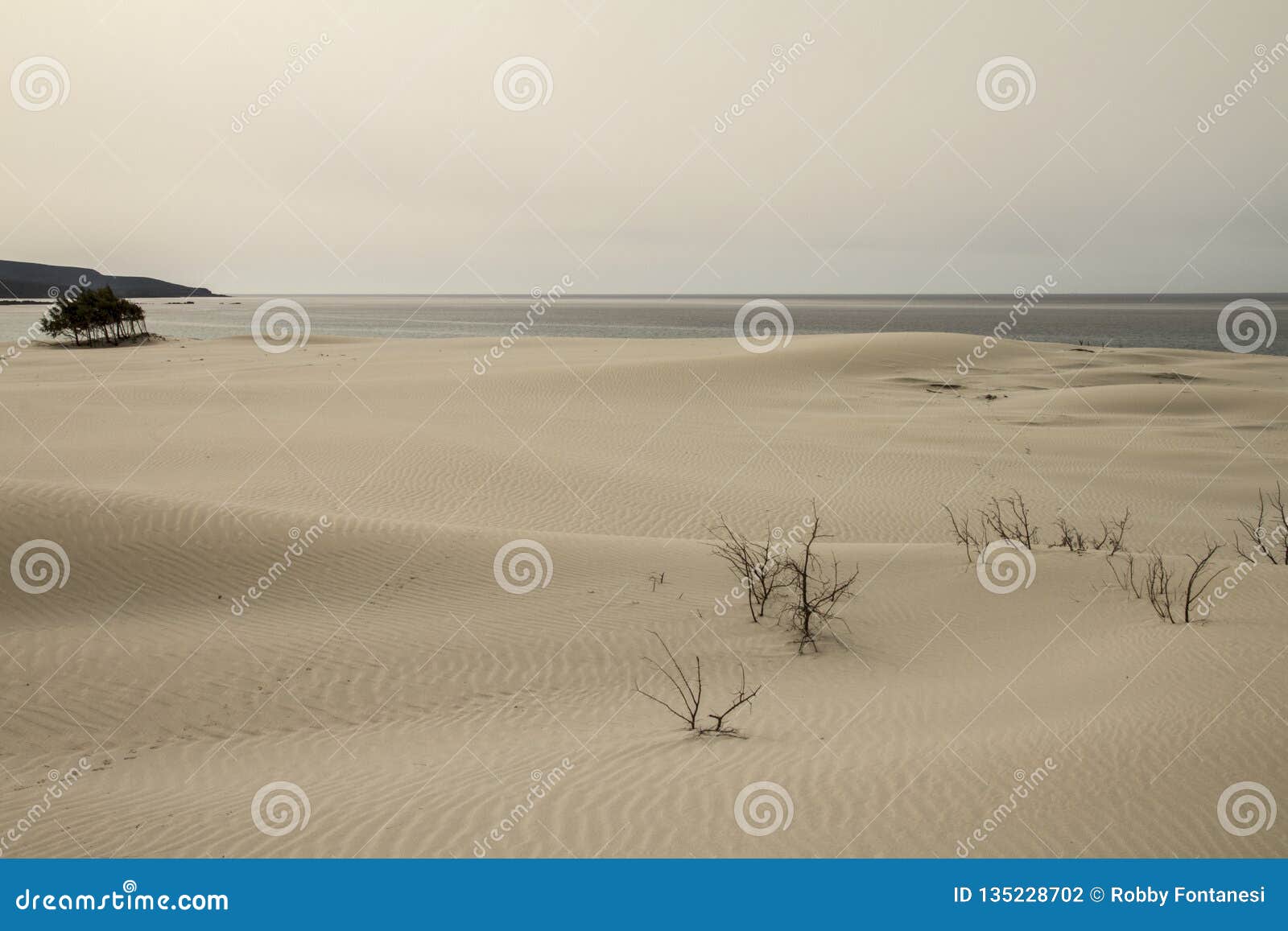 Sand Dunes that are Outlined Forming a Lunar Landscape with Gray Sea ...