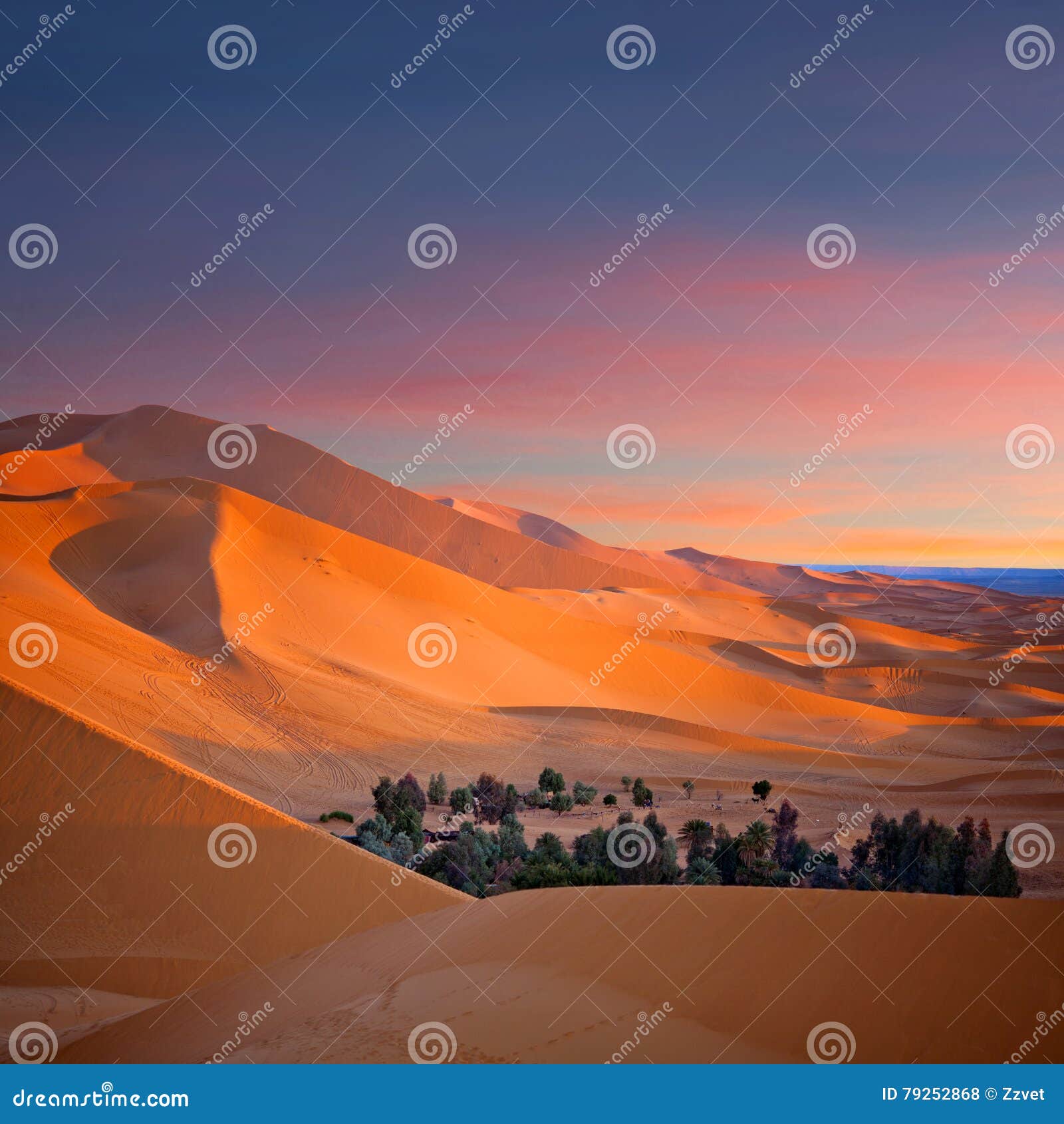 sand dunes in sahara desert in africa