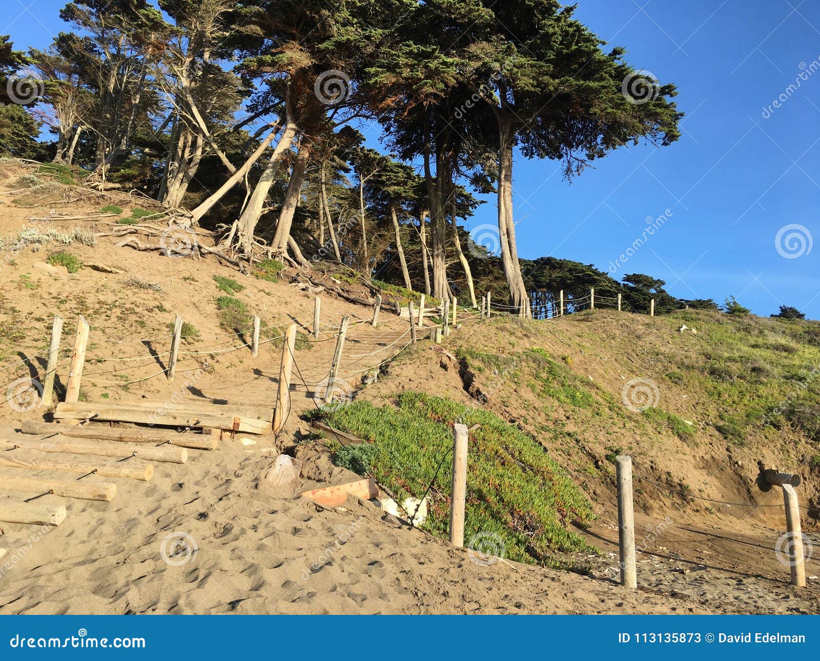 The Sand Ladder at Baker Beach, 8. A part of the Pacific Coast Trail, it is a very inconspicuous set of railroad ties set into the sandy embankment. It is so inconspicuous that you can be standing right on it and not even realize it. The ones who can never miss this are those in the `Escape from Alcatraz Triathlon,` as this is one of the most intense parts of the whole race.