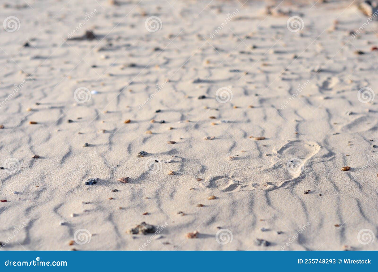 sand patterns with human footprints in juan lacaze's beach, colonia, uruguay