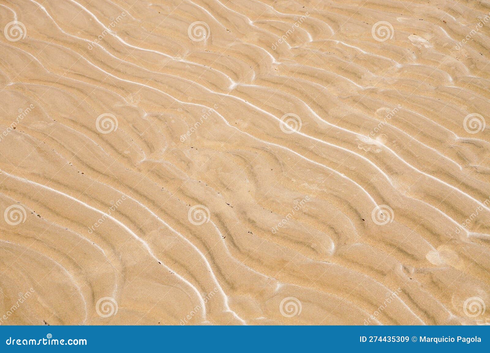 sand patterns in santa ana beach, near juan lacaze, colonia, uruguay