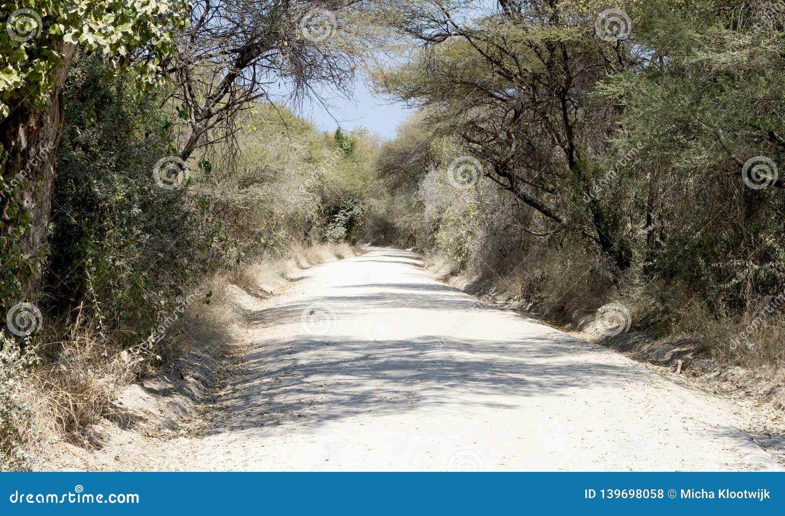 Sand road in Botswana stock photo. Image of dust, tree 139698058