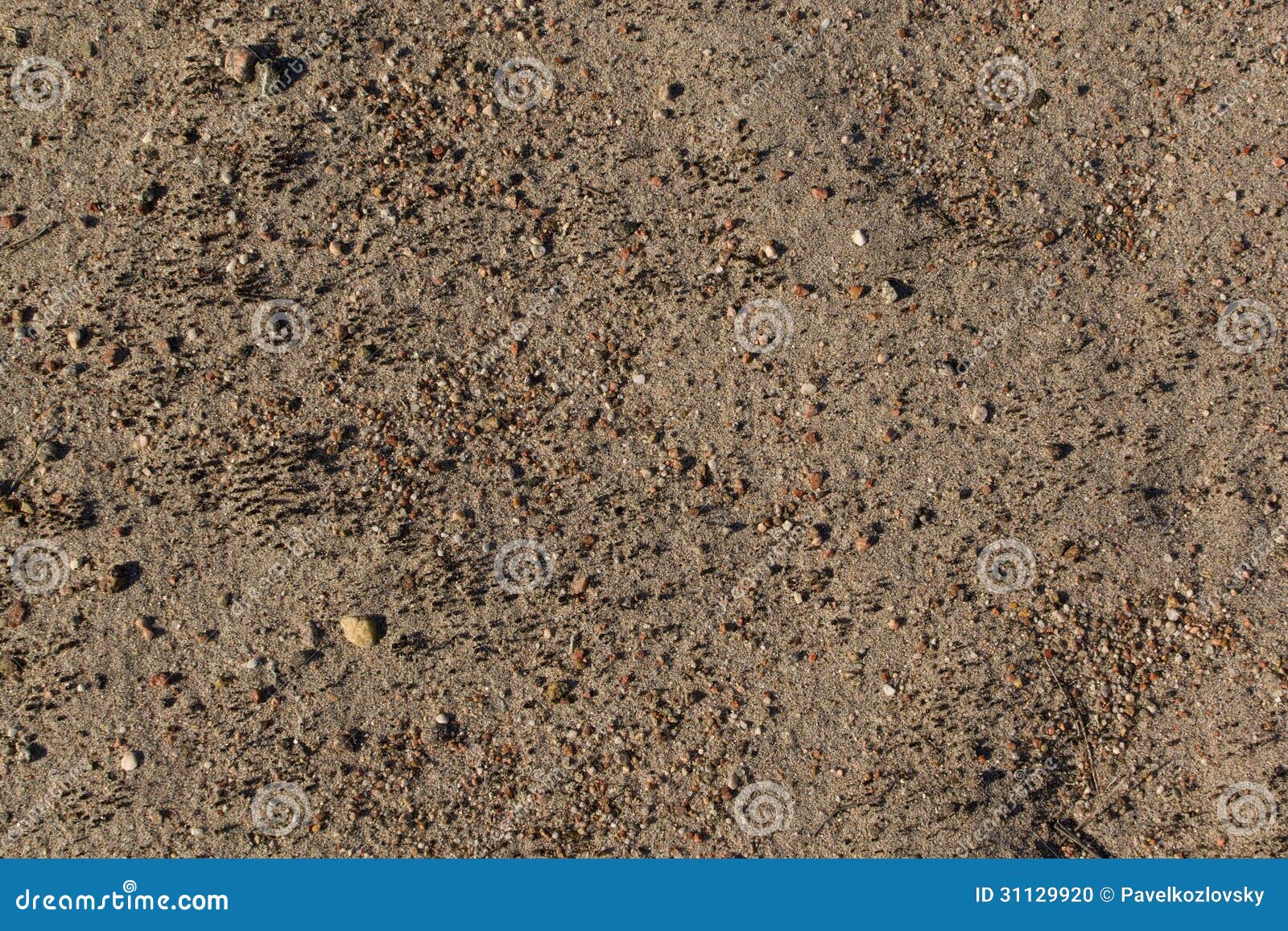 Sand with small stones. stock photo. Image of background - 31129920