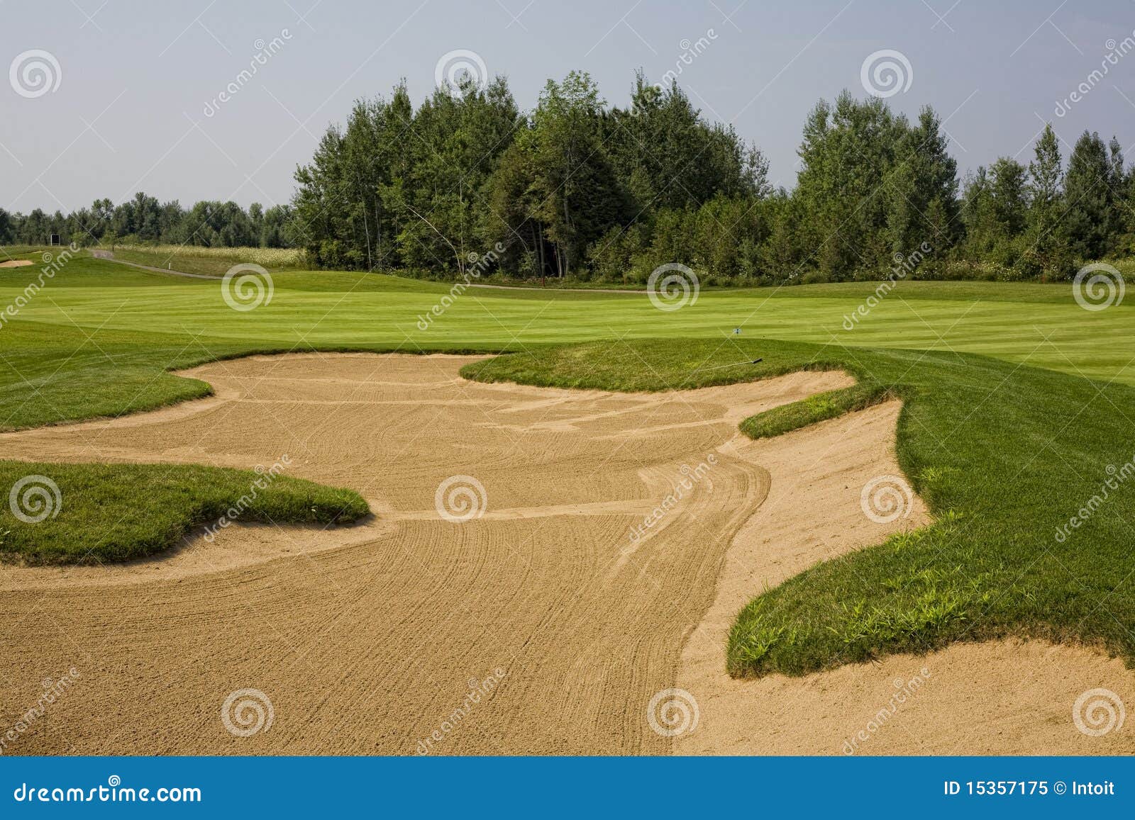 Sand Trap and Greens. Beautifully maintained golf greens with raked sand trap.