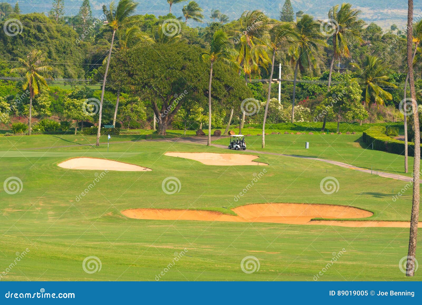 Sand Traps and a Golf Cart Near the Green Stock Image Image of trap