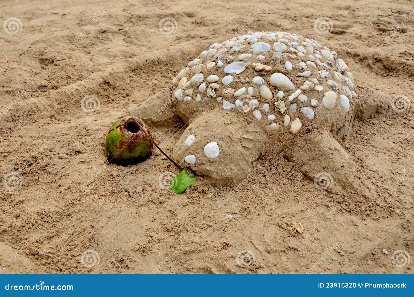 SandTurtle stock photo. Image of relaxation, turtle 23916320