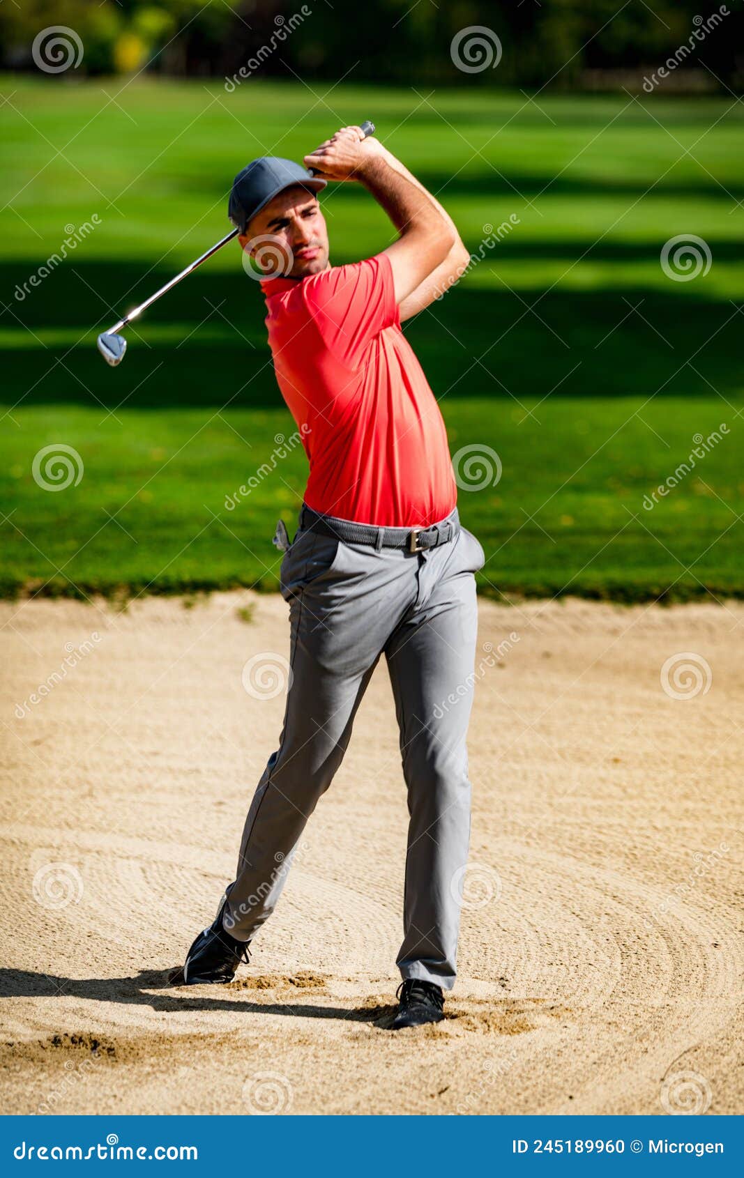Sand Wedge Shot, Professional Golfer Playing from a Sand Bunker Stock