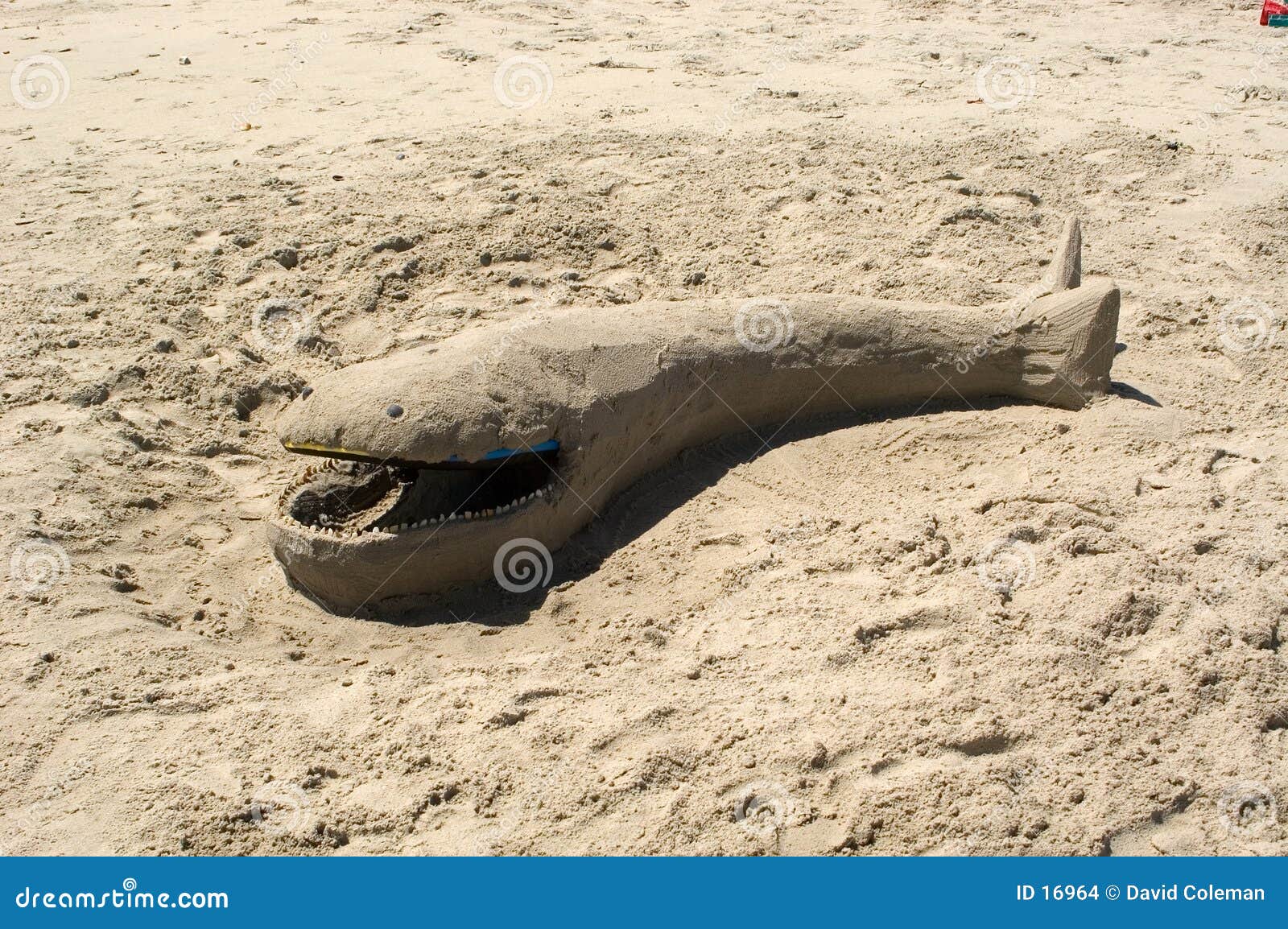 Sand Whale stock photo. Image of resort, whale, sand, sculpture 16964