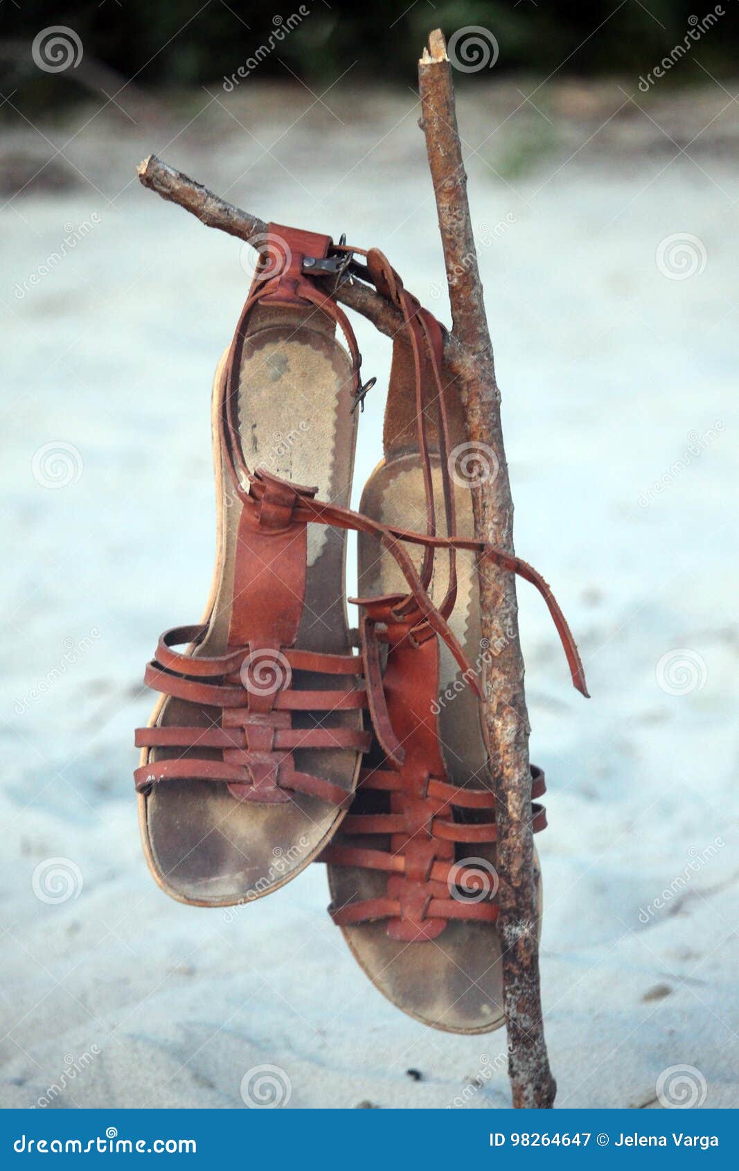 Sandals on the beach stock image. Image of vacation, sandals - 98264647