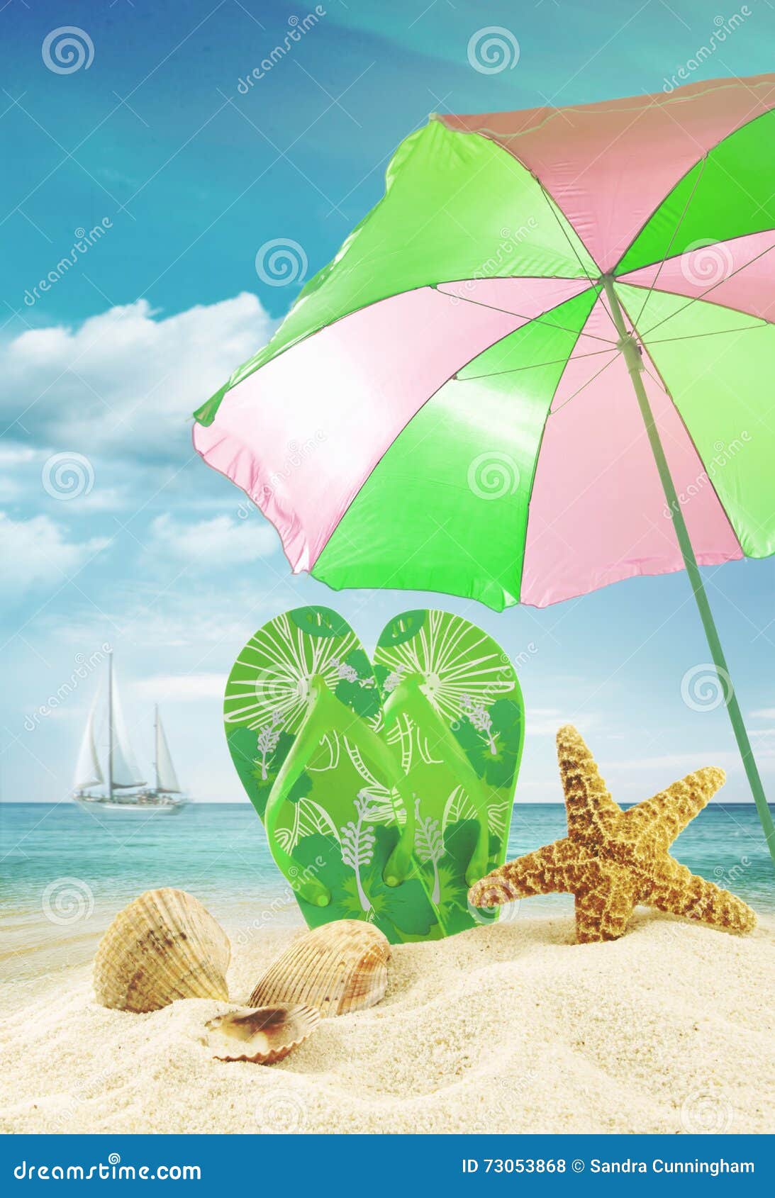 Sandals and Seashells at the Ocean Stock Photo - Image of background ...