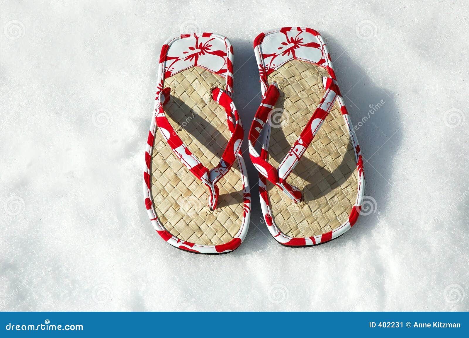 Photo Of Legs Wearing Snow Shoes And Walking In Snow Stock Photo Picture  And Royalty Free Image Image 7054671