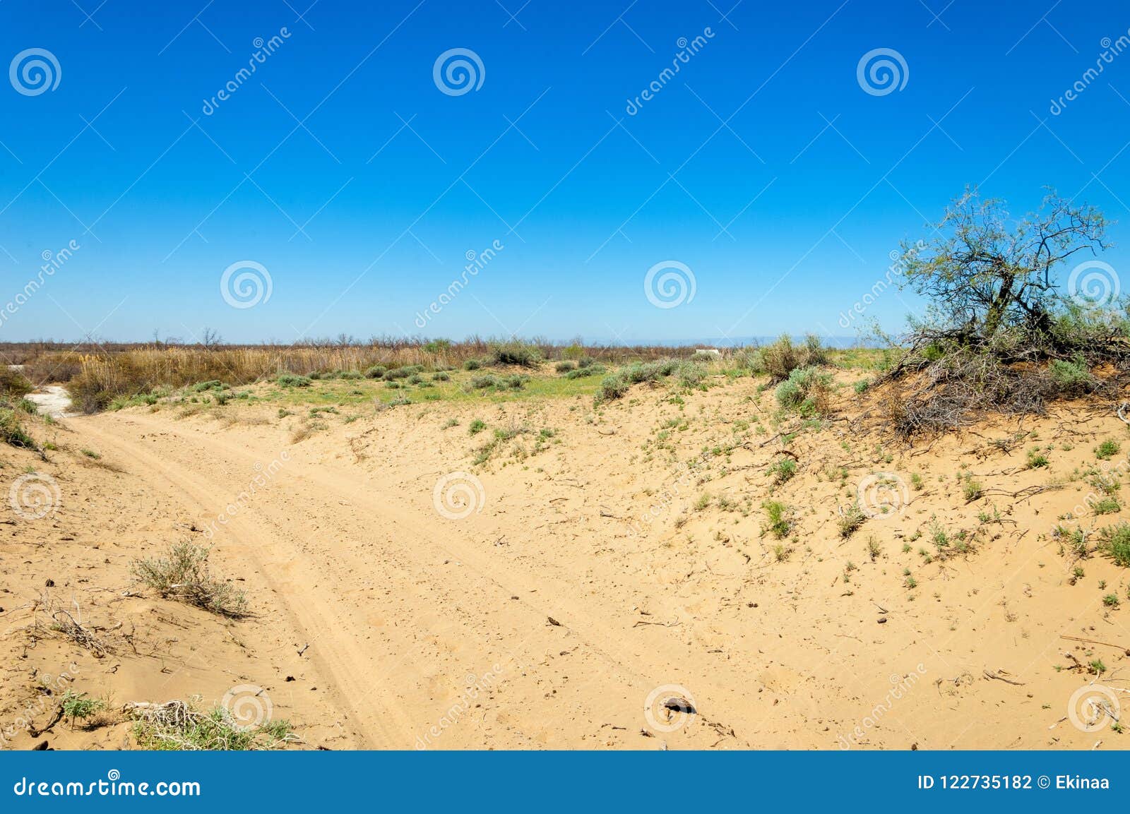 Sands Desert Spring stock photo. Image of green, barren 122735182