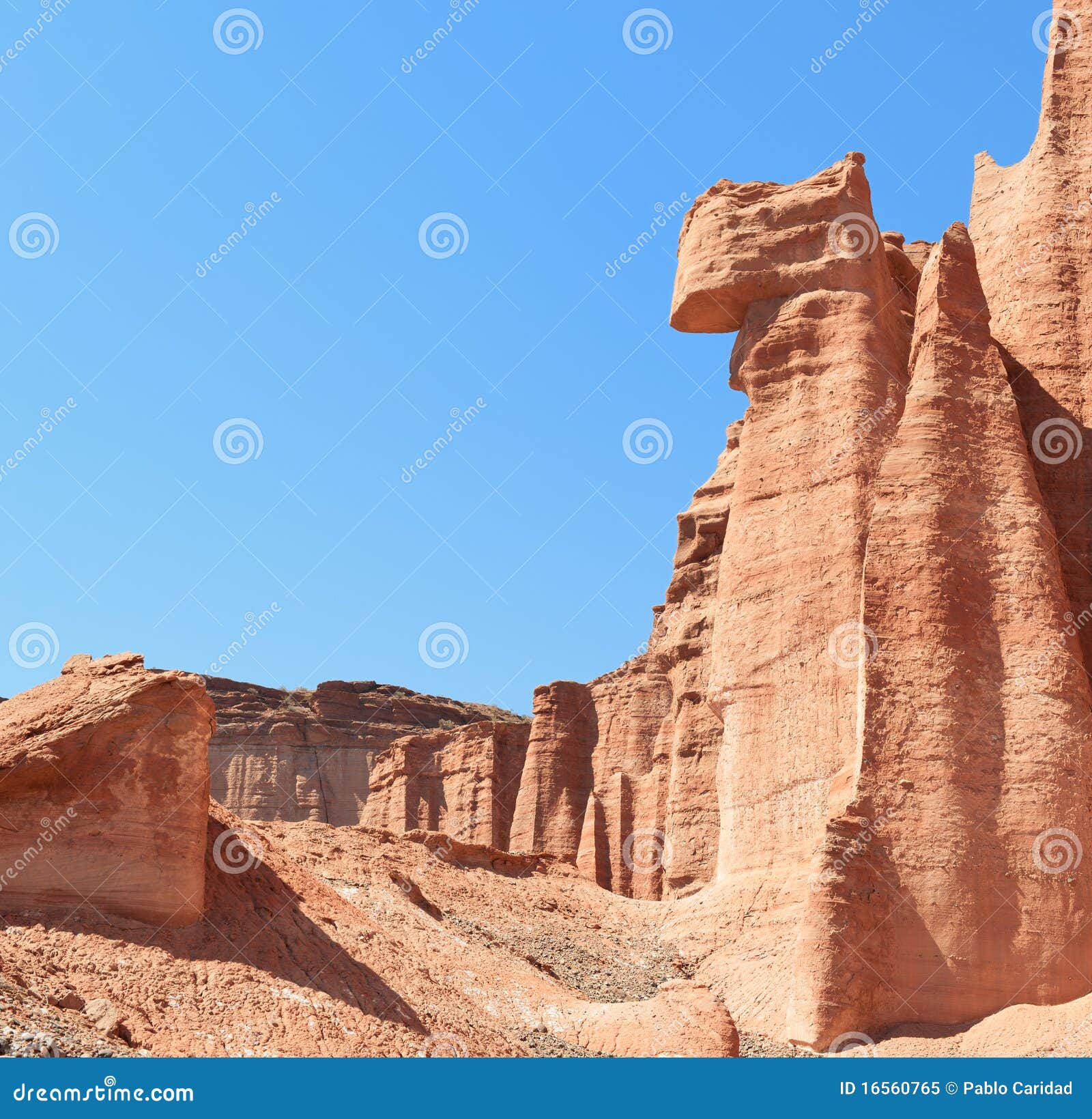 sandstone cliff in talampaya, argentina.