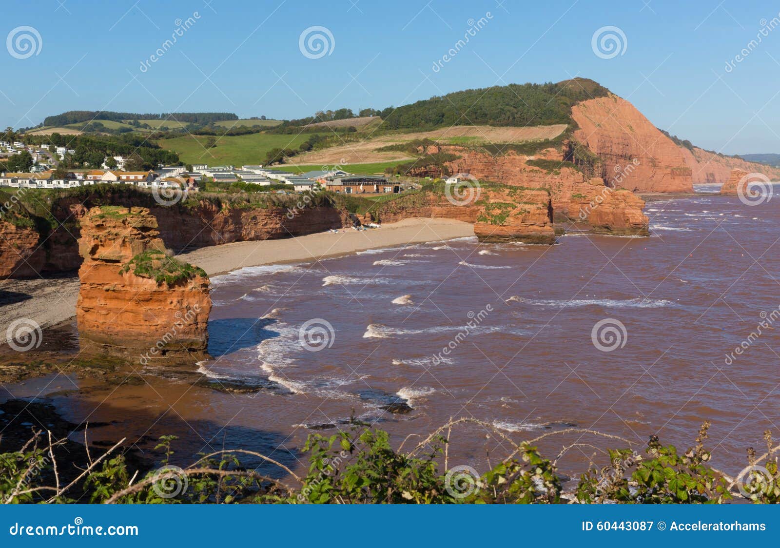 sandstone rock stacks ladram bay beach devon england uk located between budleigh salterton and sidmouth and on the jurassic coast